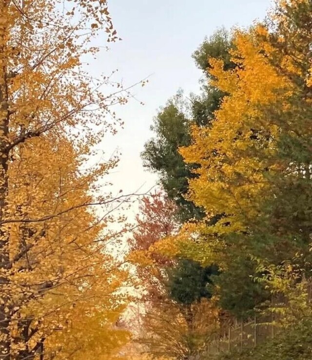 寒いね｜写メ日記｜ましろ｜池袋 人妻デリヘル 池袋おかあさん