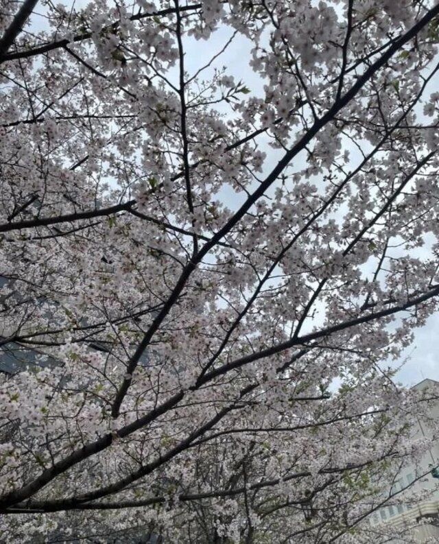 お誘いお待ちしております♡｜写メ日記｜のあ｜池袋 人妻デリヘル 池袋おかあさん