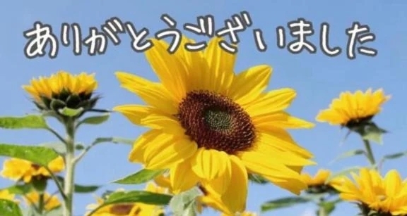暑い中ありがとうございました🍒｜写メ日記｜のあ｜池袋 人妻デリヘル 池袋おかあさん