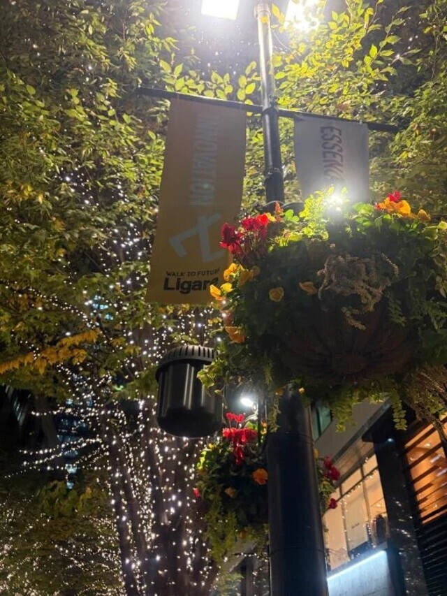 11/22ありがとうございました｜写メ日記｜まり｜池袋 人妻デリヘル 池袋おかあさん