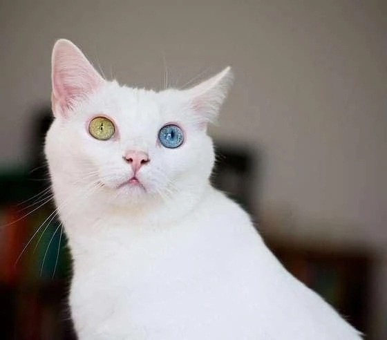 今日は遅くに出勤します！