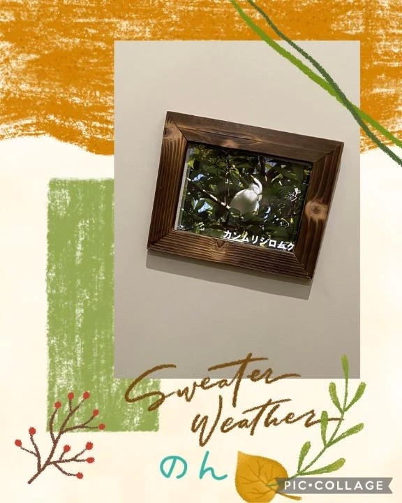 どうしても。。。｜写メ日記｜のん｜池袋 人妻デリヘル 池袋おかあさん