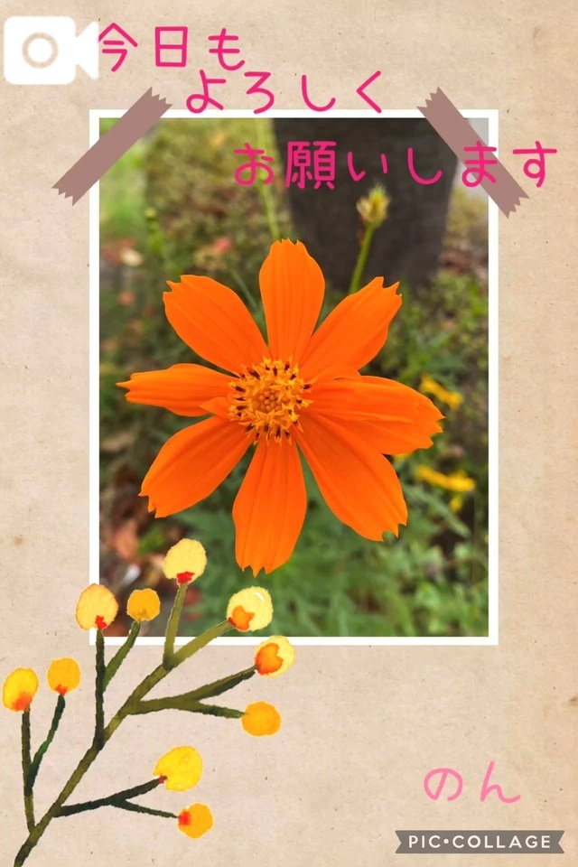 おはようございます✨｜写メ日記｜のん｜池袋 人妻デリヘル 池袋おかあさん