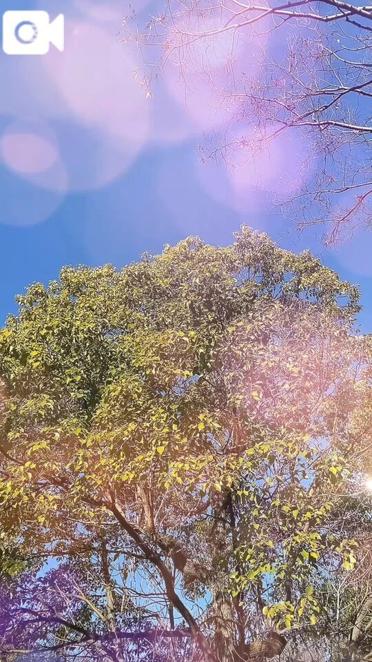 明けましておめでとうございます✨｜写メ日記｜のん｜池袋 人妻デリヘル 池袋おかあさん