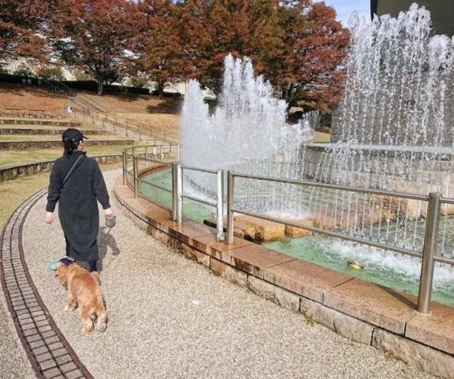 おはようございます(*´ー｀*)｜写メ日記｜めぐみ｜池袋 人妻デリヘル 池袋おかあさん