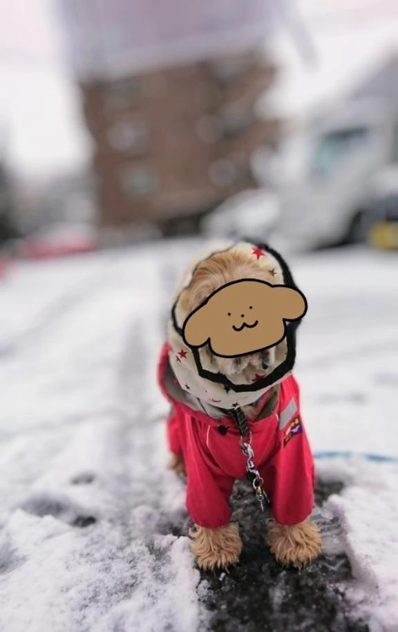 おはようございます🎵｜写メ日記｜めぐみ｜池袋 人妻デリヘル 池袋おかあさん