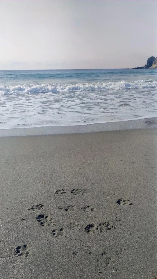 おはようございます🎵｜写メ日記｜めぐみ｜池袋 人妻デリヘル 池袋おかあさん