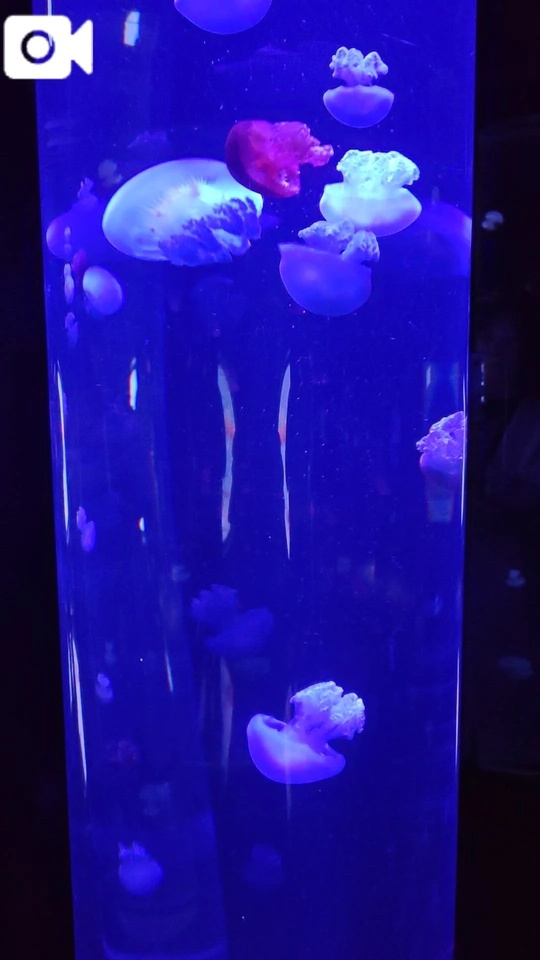 おはようございます😊