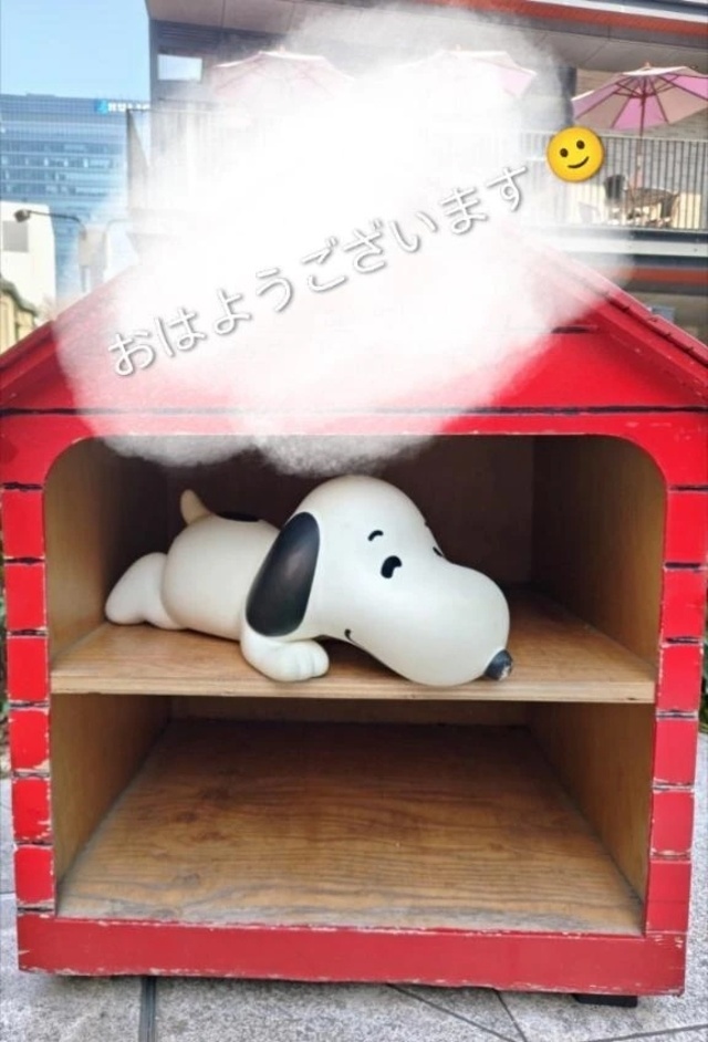 おはようございます😊｜写メ日記｜めぐみ｜池袋 人妻デリヘル 池袋おかあさん