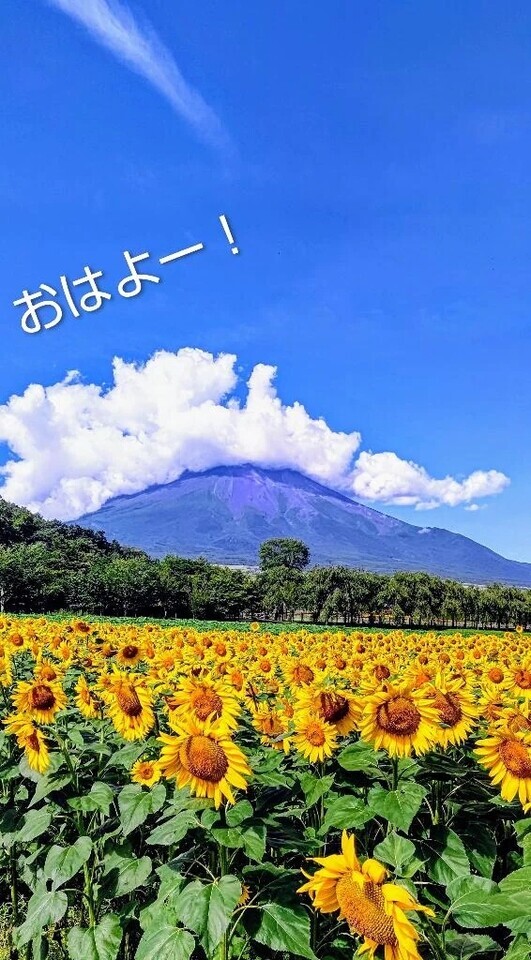 おはようございます😊｜写メ日記｜めぐみ｜池袋 人妻デリヘル 池袋おかあさん