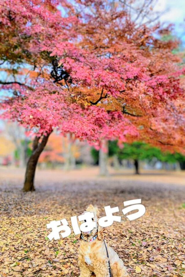 おはよう御座います😊
