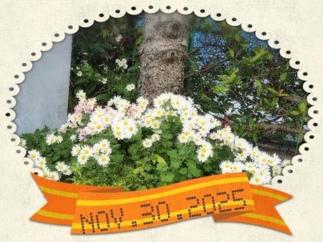 ありがとうございました✨｜写メ日記｜ゆめ｜池袋 人妻デリヘル 池袋おかあさん