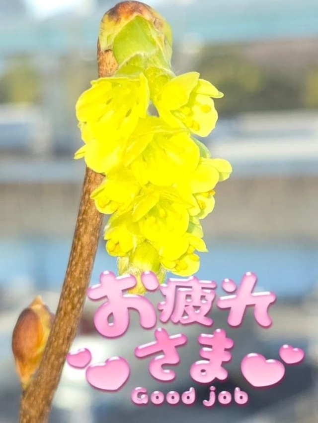 花粉がつらい😂｜写メ日記｜ゆめ｜池袋 人妻デリヘル 池袋おかあさん