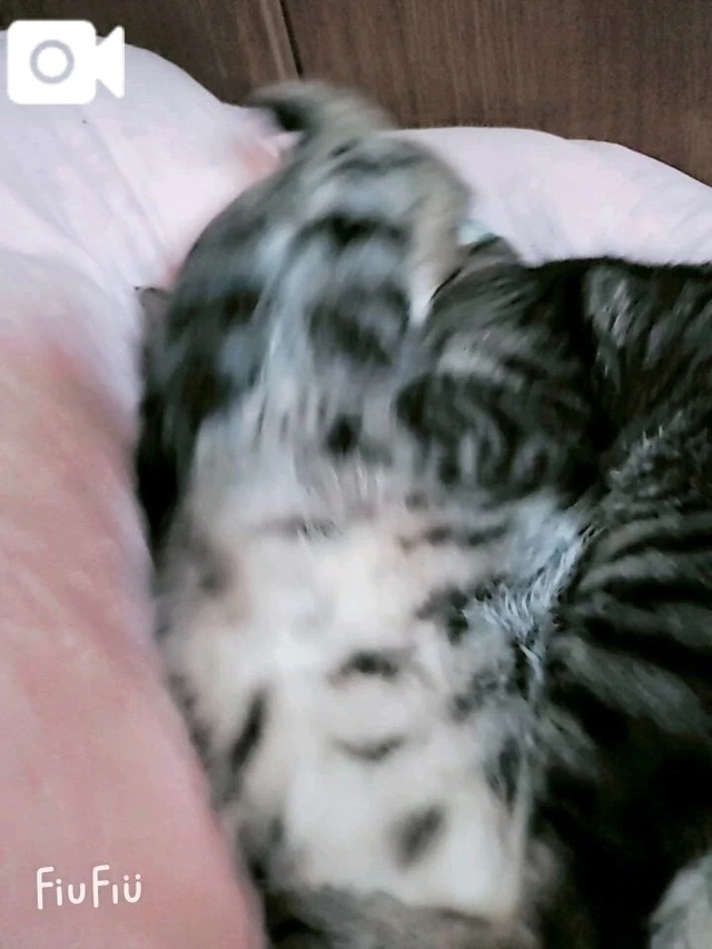 告知！　動画をUP出来ず…｜写メ日記｜るな｜池袋 人妻デリヘル 池袋おかあさん