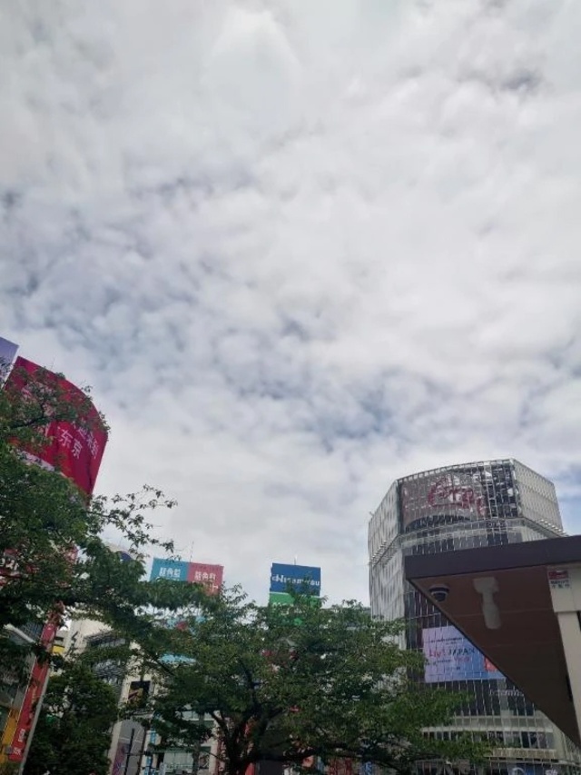 🤍💎🤍到着いたしました🤍💎🤍