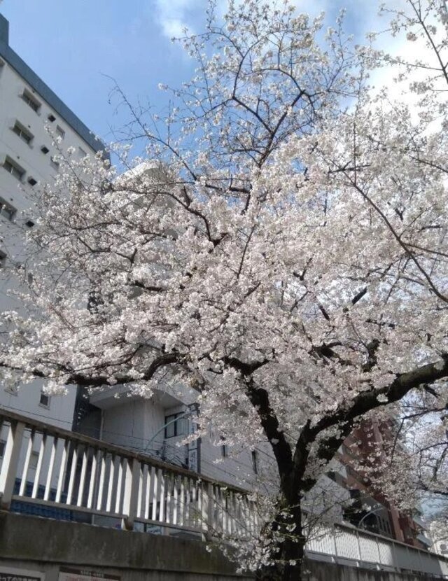 18時30分から出勤です！｜写メ日記｜あやの｜池袋 人妻デリヘル 池袋おかあさん