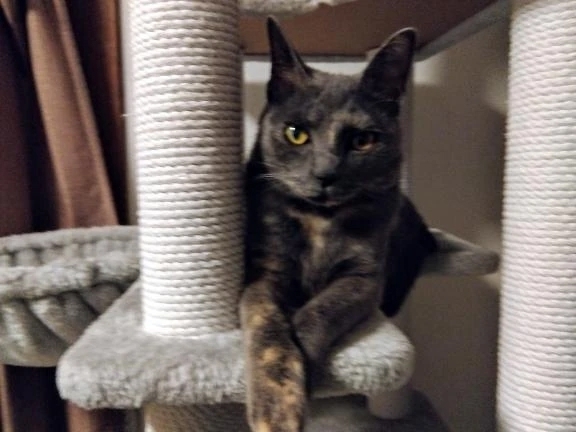 お久しぶりです!｜写メ日記｜つき｜池袋 人妻デリヘル 池袋おかあさん