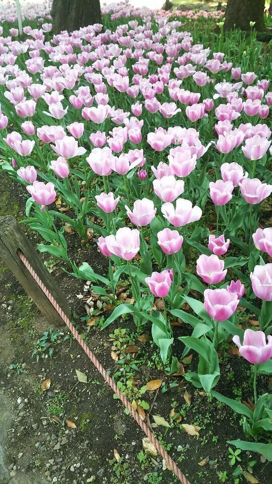 朝型リズム｜写メ日記｜かのん｜池袋 人妻デリヘル 池袋おかあさん