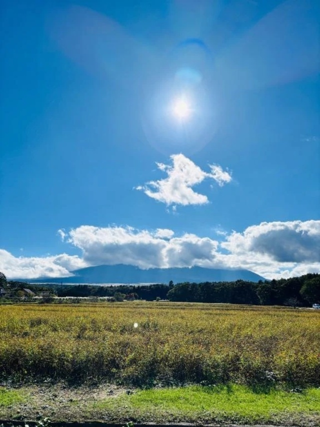🎃これは富士山です🎃｜写メ日記｜みちこ【五反田ともよ】｜池袋 人妻デリヘル 池袋おかあさん