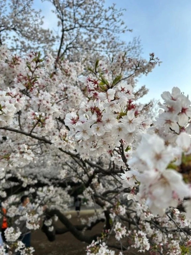 待機中♡｜写メ日記｜いろは｜池袋 人妻デリヘル 池袋おかあさん