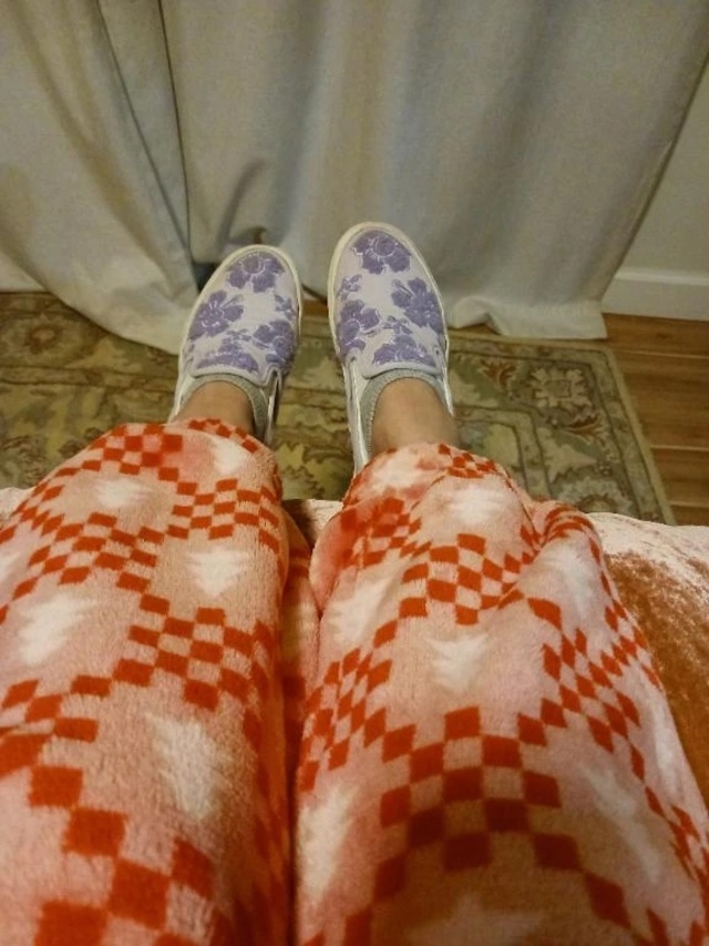 gm puppies 🐶🐶🐶