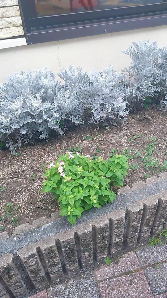 事務所とーちゃく