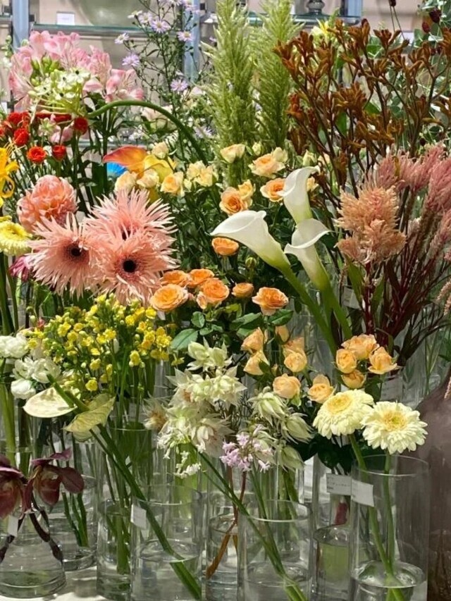 ありがとうございます🌹｜写メ日記｜きこ｜池袋 人妻デリヘル 池袋おかあさん