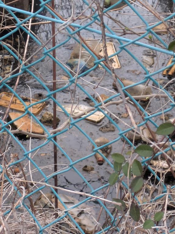 明日出場します｜写メ日記｜八木｜池袋 一般デリヘル 池袋デッドボール
