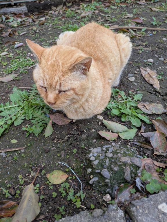 帰るんるん〜｜写メ日記｜八木｜池袋 一般デリヘル 池袋デッドボール