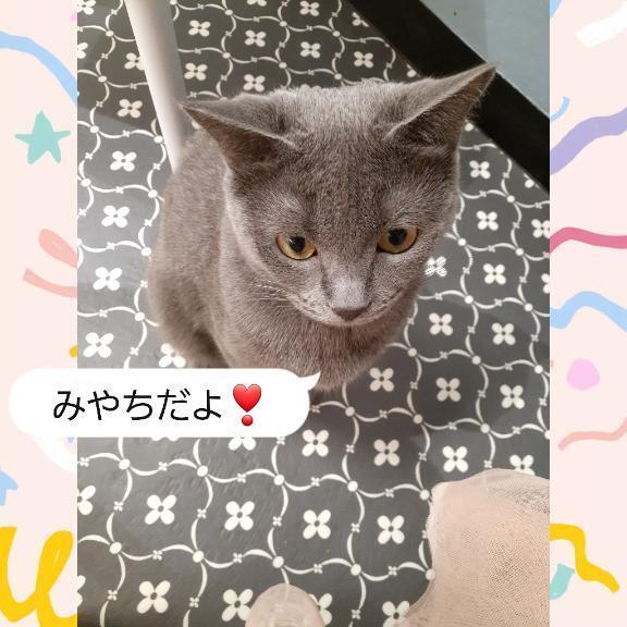 来ちゃった♥️｜写メ日記｜宮地｜池袋 一般デリヘル 池袋デッドボール