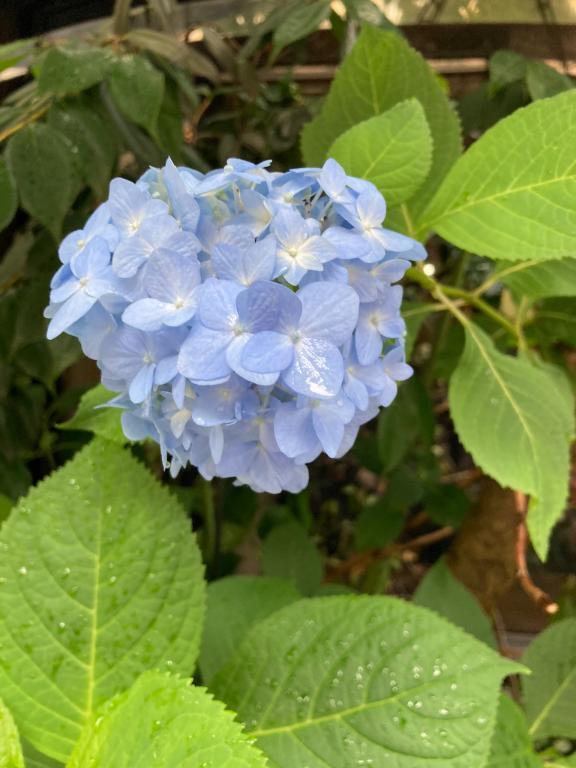 出勤しました｜写メ日記｜ミンチー｜池袋 一般デリヘル 池袋デッドボール