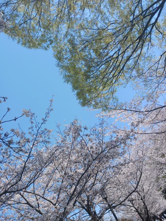 金土曜日‥もしようね？？