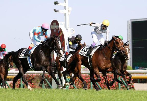 日本ダービー🐴｜写メ日記｜チェリー｜池袋 一般デリヘル 池袋デッドボール