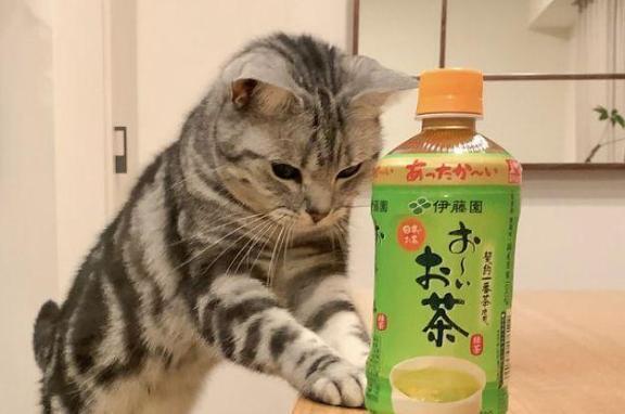 終了します🍒｜写メ日記｜チェリー｜池袋 一般デリヘル 池袋デッドボール