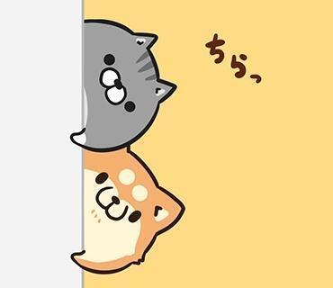 明日は最終日！｜写メ日記｜鎌田｜池袋 一般デリヘル 池袋デッドボール