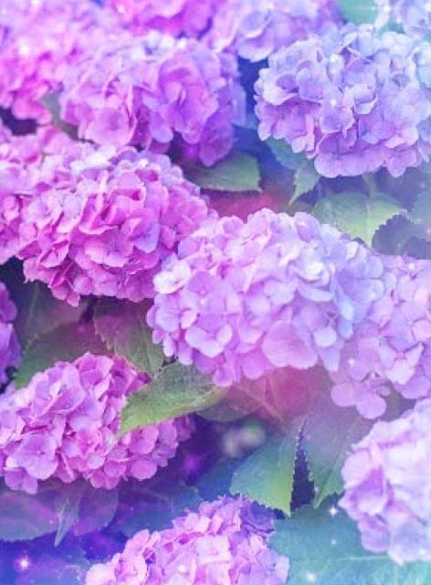 お知らせ⋆͛📢⋆💙💜