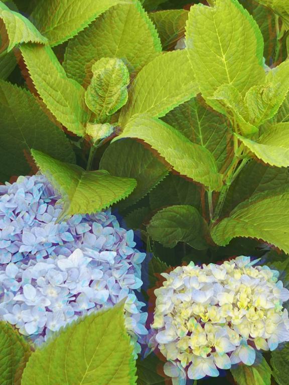 おはようございます☀️✨｜写メ日記｜藤田｜池袋 一般デリヘル 池袋デッドボール