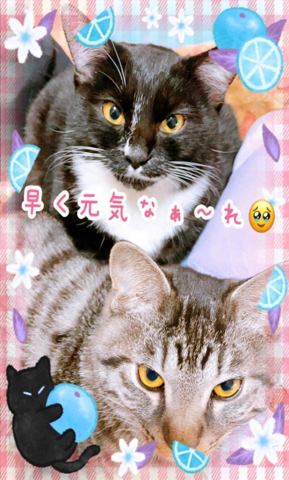 急ぐよ～‼️｜写メ日記｜本間｜池袋 一般デリヘル 池袋デッドボール
