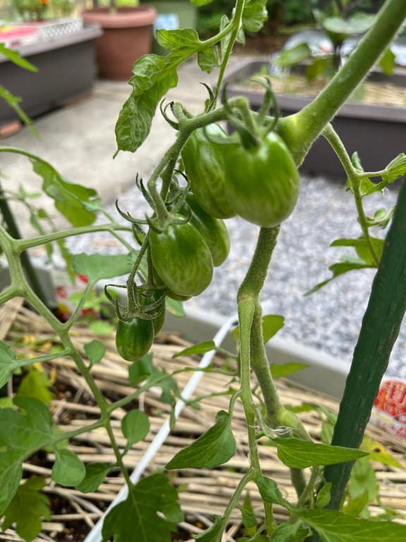 有難うございます｜写メ日記｜桧山(ひやま)｜池袋 一般デリヘル 池袋デッドボール