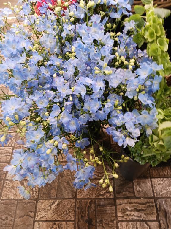 おはようございます😆☀️｜写メ日記｜上園（うえぞの）｜池袋 一般デリヘル 池袋デッドボール
