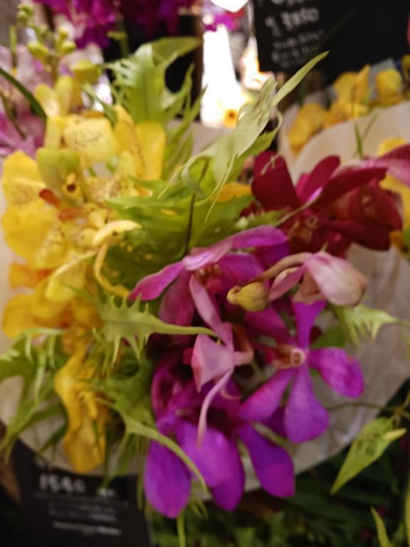 七夕🎋の日に貴方に❤️💛｜写メ日記｜上園（うえぞの）｜池袋 一般デリヘル 池袋デッドボール