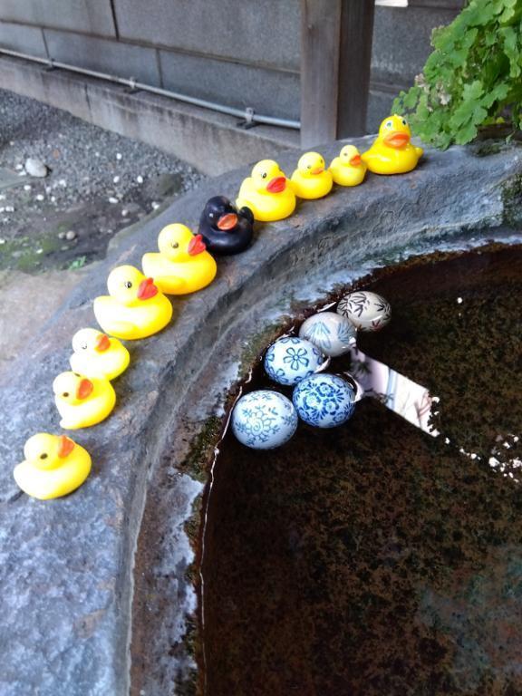 出勤｜写メ日記｜シュルツ｜池袋 一般デリヘル 池袋デッドボール