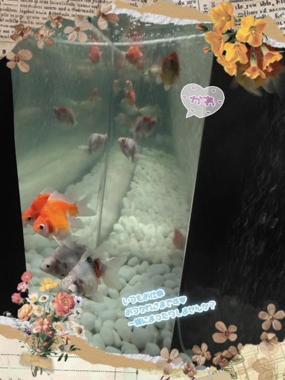 おつおつ～🥂｜写メ日記｜吉川｜池袋 一般デリヘル 池袋デッドボール
