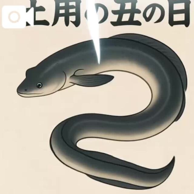 うなき∈(' ◎ ')∋｜写メ日記｜バウマン｜池袋 一般デリヘル 池袋デッドボール