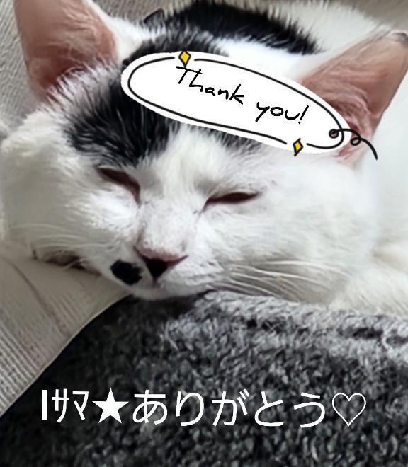 Iサマへお礼です｜写メ日記｜畔柳(くろやなぎ)｜池袋 一般デリヘル 池袋デッドボール