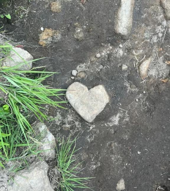 ❤︎お礼日記❤︎｜写メ日記｜篠塚｜池袋 一般デリヘル 池袋デッドボール