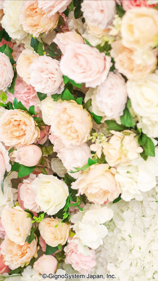 (*^^*)｜写メ日記｜平松｜大塚・巣鴨 人妻デリヘル 不倫妻の誘惑