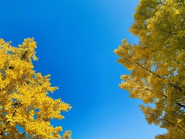 出勤しました｜写メ日記｜逢沢 あいざわ｜大塚・巣鴨 人妻デリヘル 不倫妻の誘惑