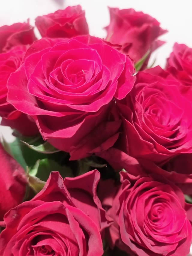 🍁本日出勤🍀｜写メ日記｜篠崎｜大塚・巣鴨 人妻デリヘル 不倫妻の誘惑