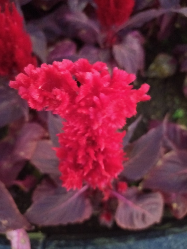 冬バージョン❄️｜写メ日記｜篠崎｜大塚・巣鴨 人妻デリヘル 不倫妻の誘惑